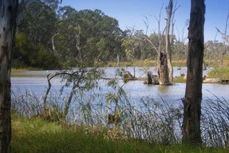 The Cohuna Golf Course is situated on Gunbower Island.